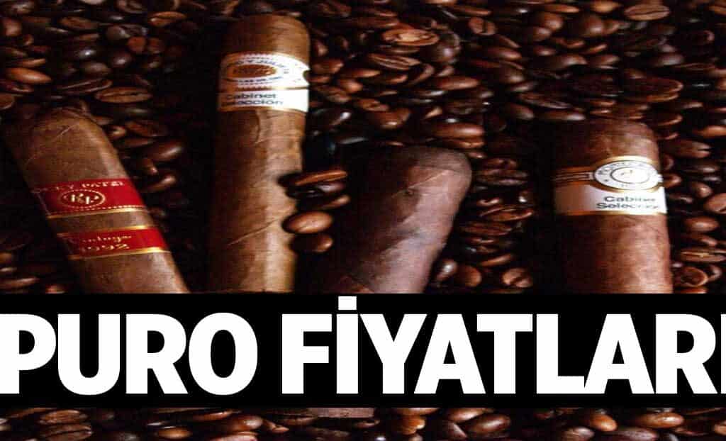 Puro Fiyatlari 1024x622QTR.jpg