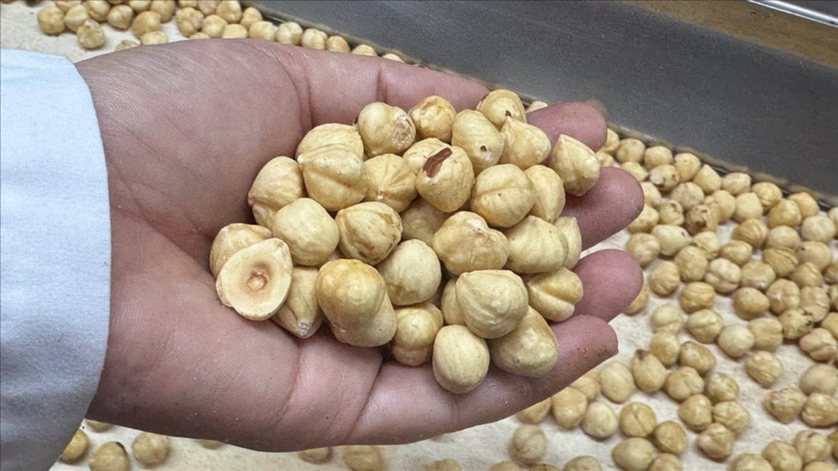 findik ihracati geliri aciklandi uCO6ZBfS.jpg