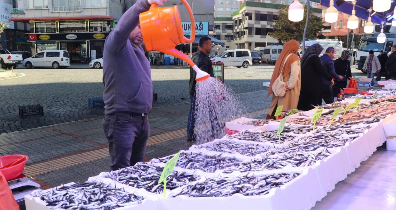 Hamsiyi kasa kasa almaya başladılar: Çok ucuzladı