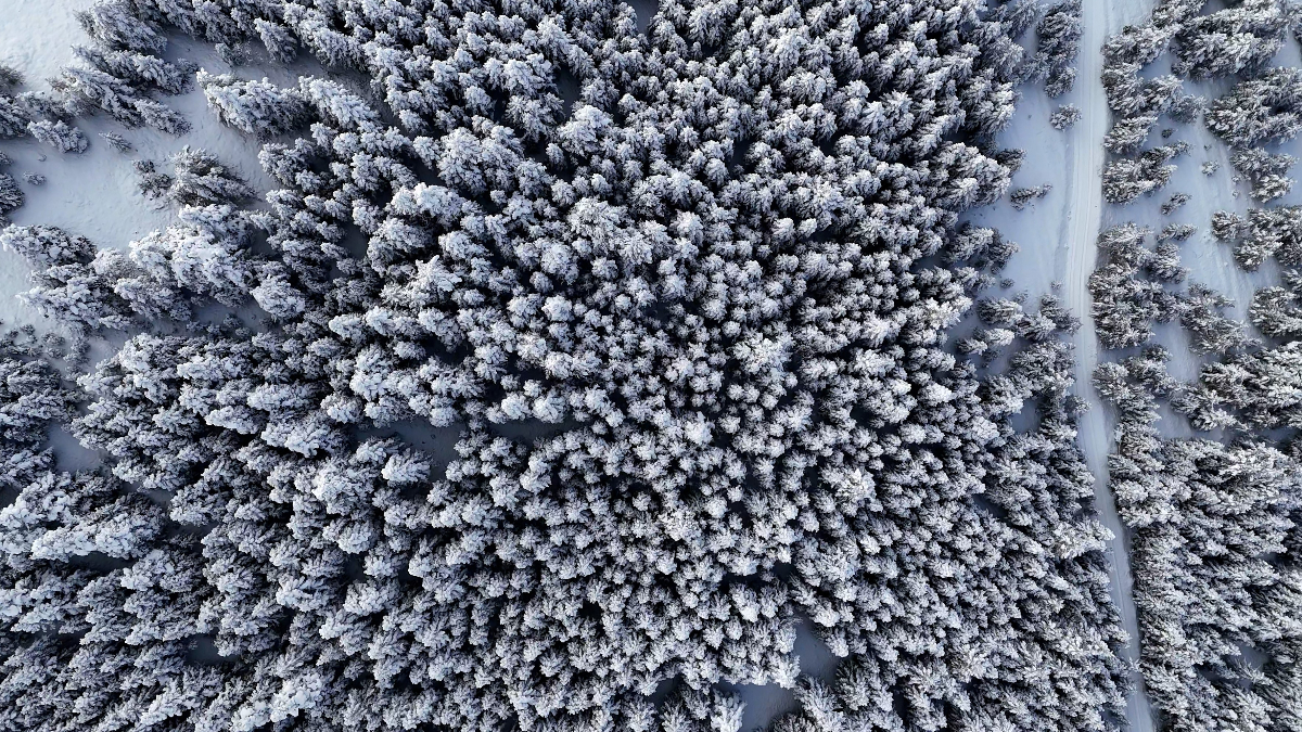 Sürücülerin korkulu rüyası Tersun Dağı’nda kartpostallık görüntüler