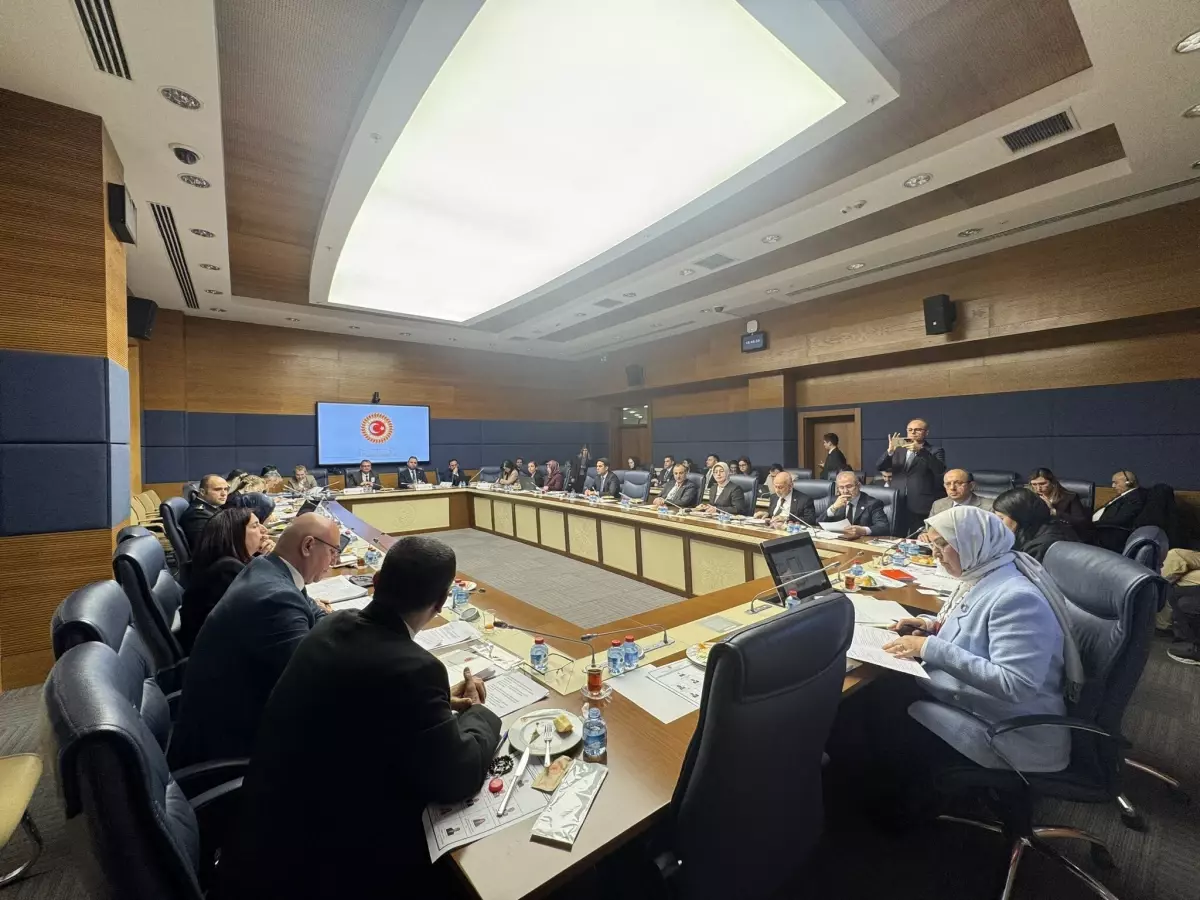 Dijital Tehditler Raporu TBMM’de Görüşüldü