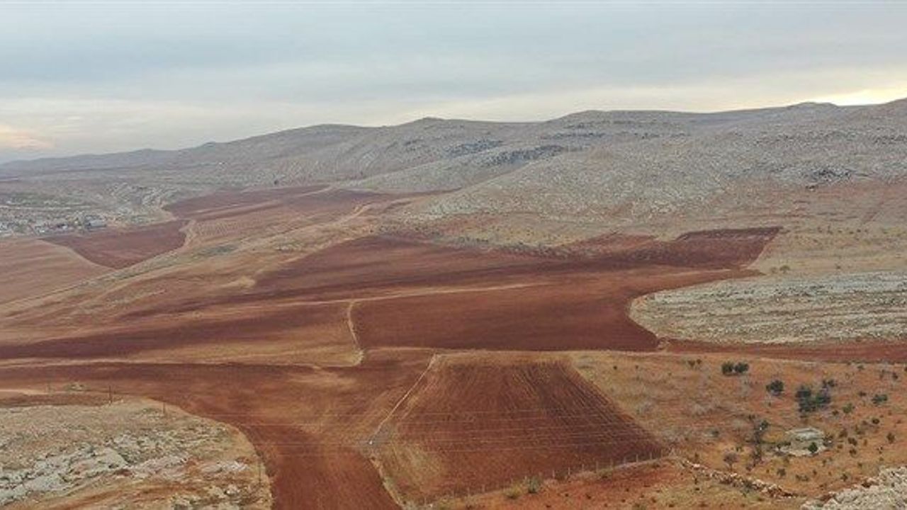 İşlenmeyen Tarım Arazileri Üretime Kazandırılacak: Yüzde 75’e Kadar Hibe Desteği